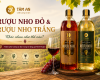 Rượu nho đỏ và rượu nho trắng khác nhau như thế nào? Cách chọn phù hợp