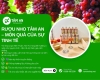 RƯỢU NHO TÂM AN – MÓN QUÀ CỦA SỰ TINH TẾ
