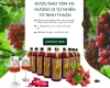 Rượu Nho Tâm An – Hương Vị Tự Nhiên, Tinh Hoa Từ Ninh Thuận