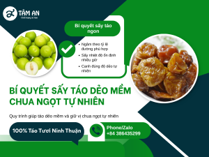 Bí Quyết Sấy Táo Dẻo Mềm, Chua Ngọt Tự Nhiên