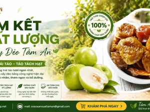 Cam Kết Chất Lượng Táo Sấy Dẻo Tâm An – Ngon Tự Nhiên, An Tâm Mỗi Ngày