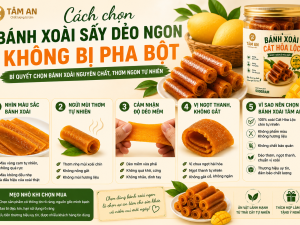 Cách Chọn Bánh Xoài Sấy Dẻo Ngon, Không Bị Pha Bột