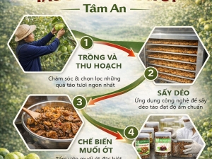 Hành Trình Tạo Nên Táo Sấy Dẻo Muối Ớt Tâm An – Từ Vườn Táo Đến Thành Phẩm Chất Lượng