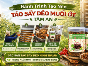 Hành Trình Tạo Nên Táo Sấy Dẻo Muối Ớt Tâm An Chuẩn Ngon