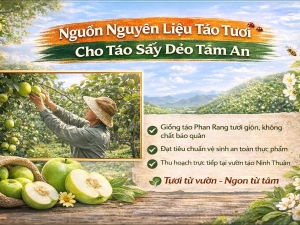Nguồn Nguyên Liệu Táo Tươi Cho Táo Sấy Dẻo Tâm An – Yếu Tố Quyết Định Chất Lượng