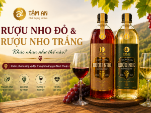 Rượu nho đỏ và rượu nho trắng khác nhau như thế nào? Cách chọn phù hợp