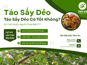 Táo Sấy Dẻo Có Tốt Không? Sự Thật Nhiều Người Chưa Biết