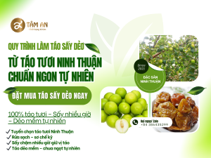 Quy Trình Làm Táo Sấy Dẻo Từ Táo Tươi Ninh Thuận Chuẩn Ngon Tự Nhiên