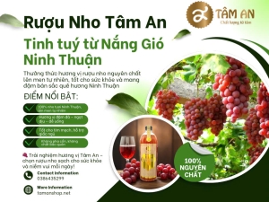 Rượu Nho Tâm An – Tinh Túy Từ Nắng Gió Ninh Thuận